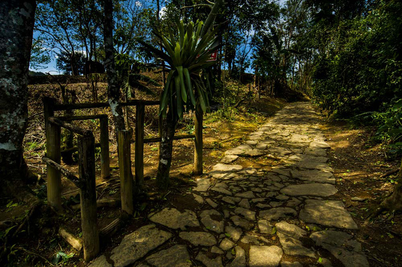 caminho-do-ouro