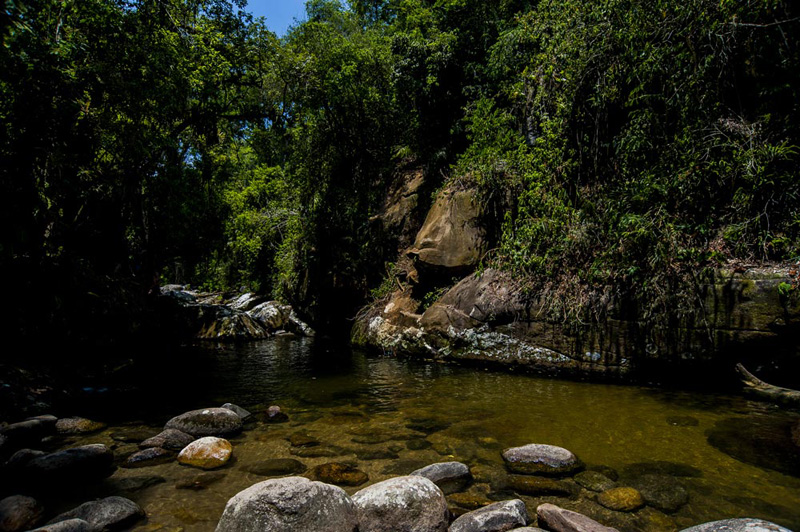 caminho-do-ouro